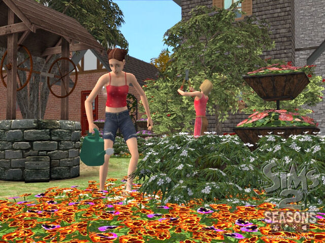 File:TS2S Gallery 12.jpg