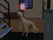 Thumbnail cdae9d39 d2e0aa01