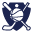Dribbledine Sports Academy icon