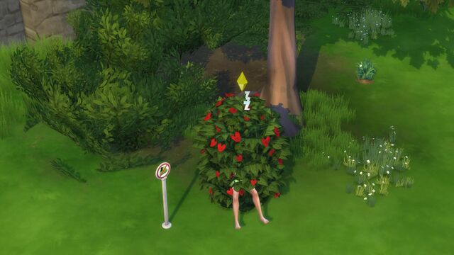 File:Get together-sim sleeping in bush.jpg