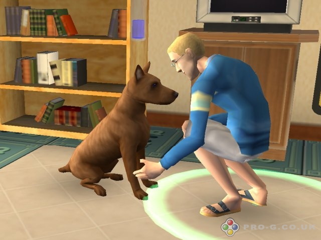 the sims pet stories torrent the sims pet stories torrent