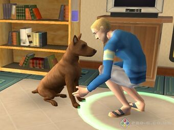Animal The Sims Wiki Fandom