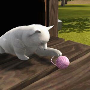 Cat The Sims Wiki Fandom