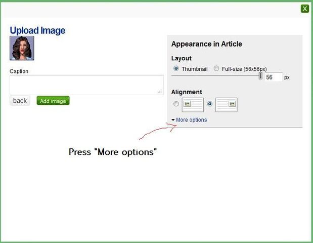 File:Images and Licensing (1) - guide.jpg