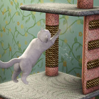 Scratching Post The Sims Wiki Fandom