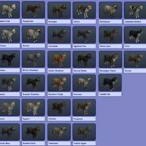 Pet The Sims Wiki Fandom