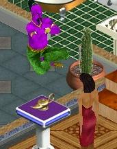 Sims1 Genie