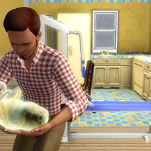 Ghost Baby The Sims Wiki Fandom