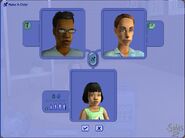 Sims 3 Wii Cheats