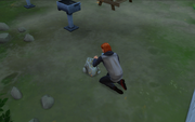 Sim Excanvando Roca
