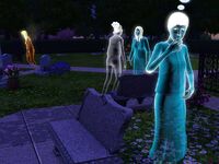 Riverview-graveyard