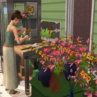 Sims 4 Florist Career Mod Overview Youtube