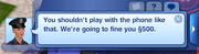 Sims 3 Police Fine