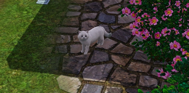 selectable pets mod sims 4