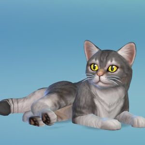 Les Sims 4 Chiens Et Chats Simpédia Wiki Les Sims Fandom