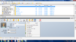 SimPE UI