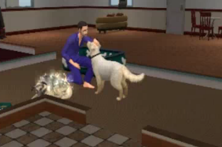 sims 4 cats and dogs breeding bug