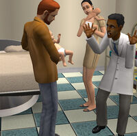 Game Guide How To Care For Twins And Triplets The Sims Wiki Fandom