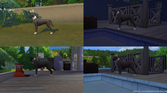 Breeding The Sims Wiki Fandom