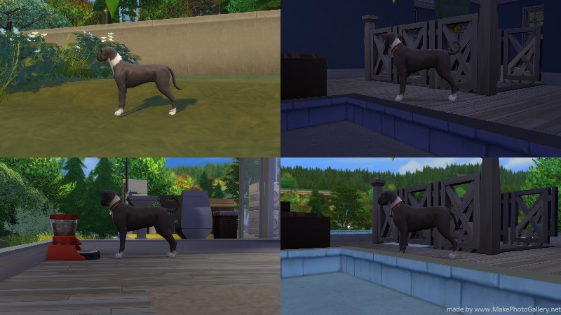 Breeding The Sims Wiki Fandom