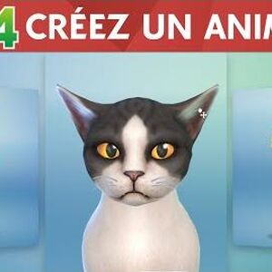 Les Sims 4 Chiens Et Chats Simpédia Wiki Les Sims Fandom