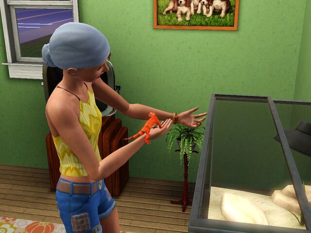 File:Lizzard and sim.jpg