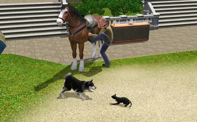 File:Pets In TS3.jpg