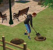 Sim digging for treasure Bon Voyage