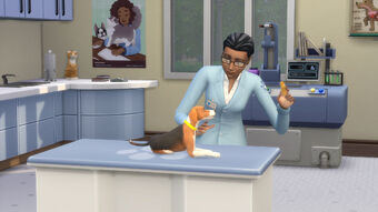 The Sims 4 Cats Dogs The Sims Wiki Fandom