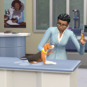 The Sims 4 Cats Dogs The Sims Wiki Fandom
