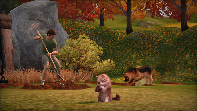 File:Simspets1.jpg