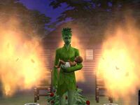 Willow in the fire
