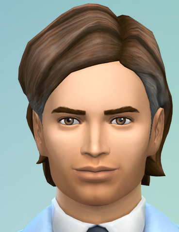 File:Caminiti.png