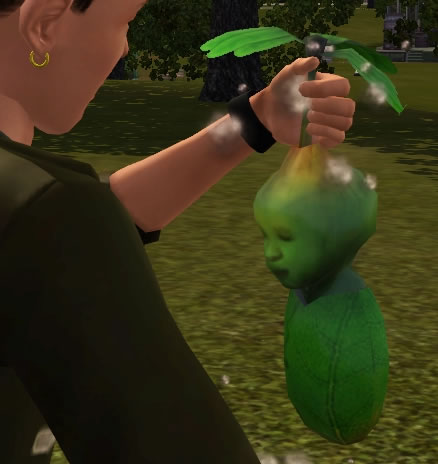 sims 4 magic bean tree