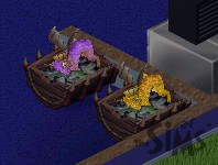 TS1_dragons_hatching.jpg