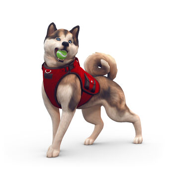 Dog The Sims Wiki Fandom