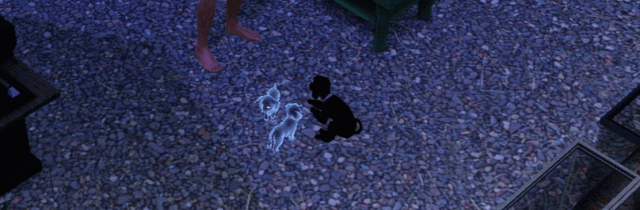 File:Ghostpuppies.gif
