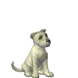 Suzi | The Sims Wiki | Fandom