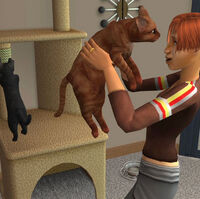 Cat The Sims Wiki Fandom