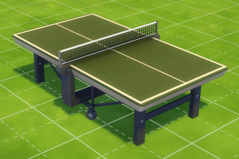 ping pong tennis table