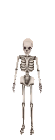 BoBChildMaleFemale2