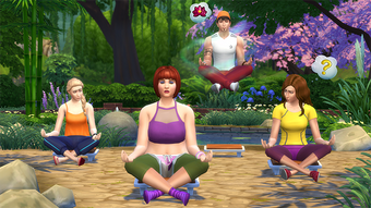 Wellness The Sims Wiki Fandom