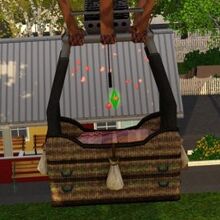 Woohoo The Sims Wiki Fandom