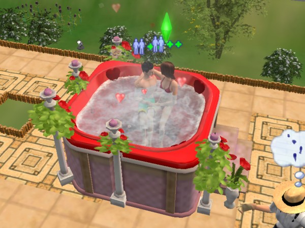 Image result for sims woohoo hot tub