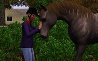 Eliza and a horse
