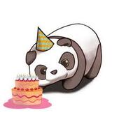 Bday panda