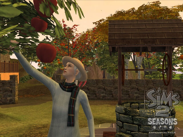 File:TS2S Gallery 25.jpg