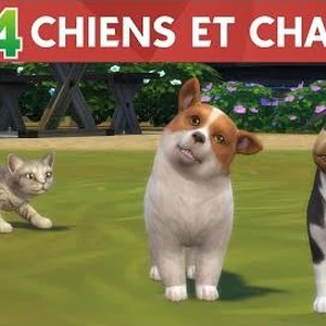 Les Sims 4 Chiens Et Chats Simpédia Wiki Les Sims Fandom