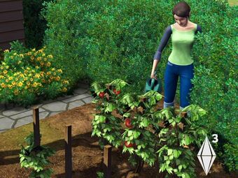 Gardening The Sims 3 The Sims Wiki Fandom