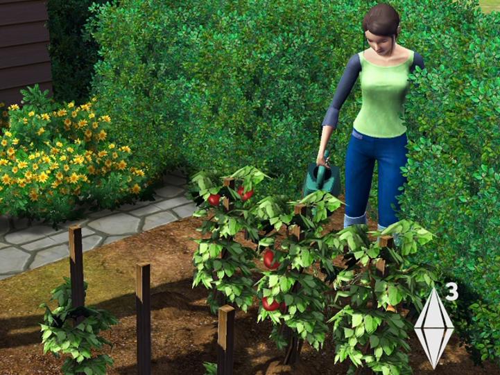 Gardening The Sims 3 The Sims Wiki Fandom Powered By Wikia